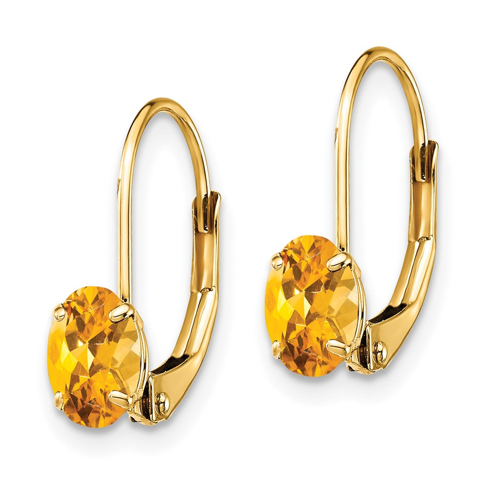 Oval Gemstone Leverback Earrings