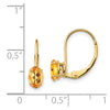 Oval Gemstone Leverback Earrings