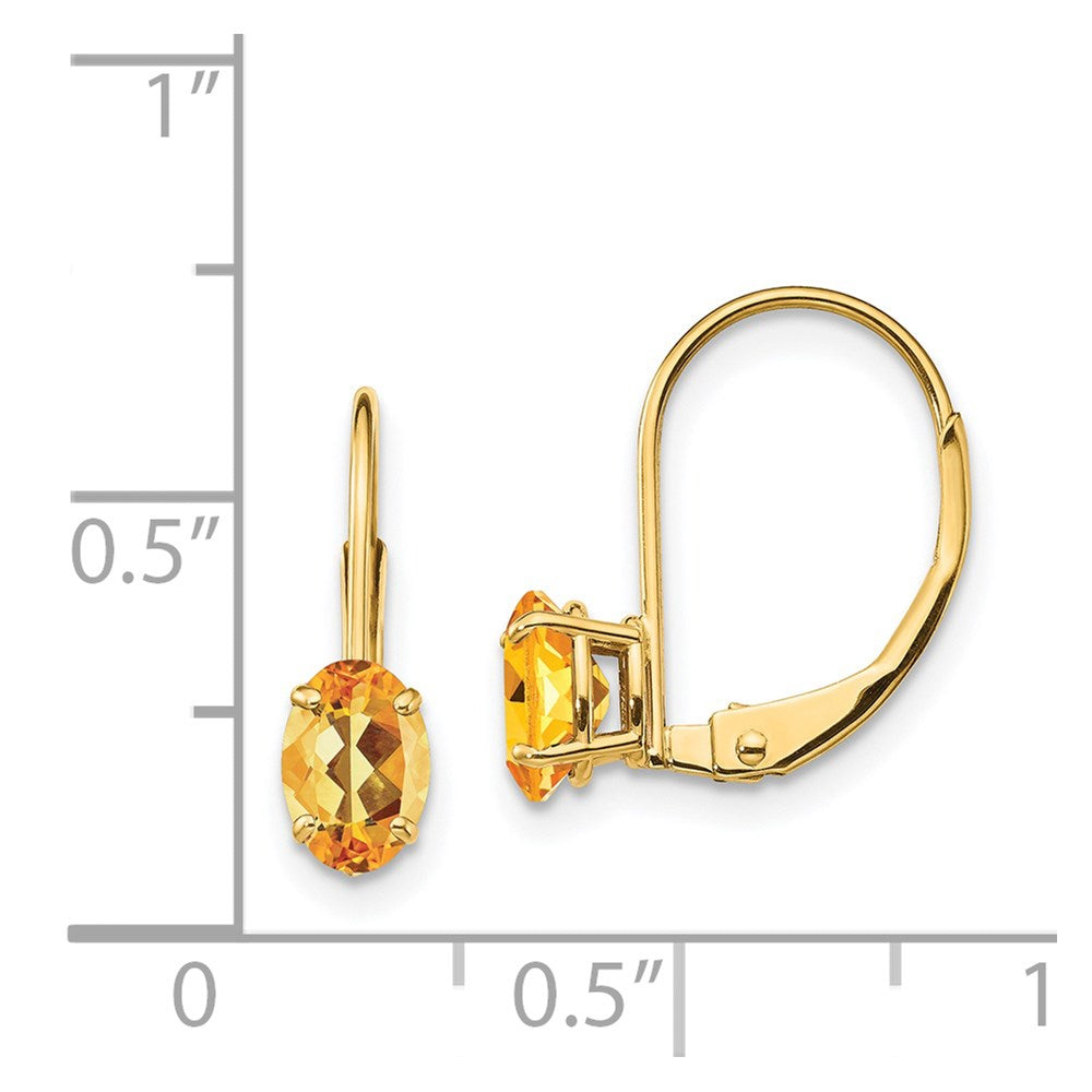 Oval Gemstone Leverback Earrings