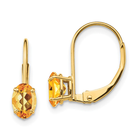 Oval Gemstone Leverback Earrings