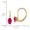 Oval Gemstone Leverback Earrings