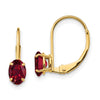 Oval Gemstone Leverback Earrings