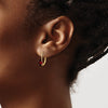Oval Gemstone Leverback Earrings