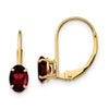 Oval Gemstone Leverback Earrings