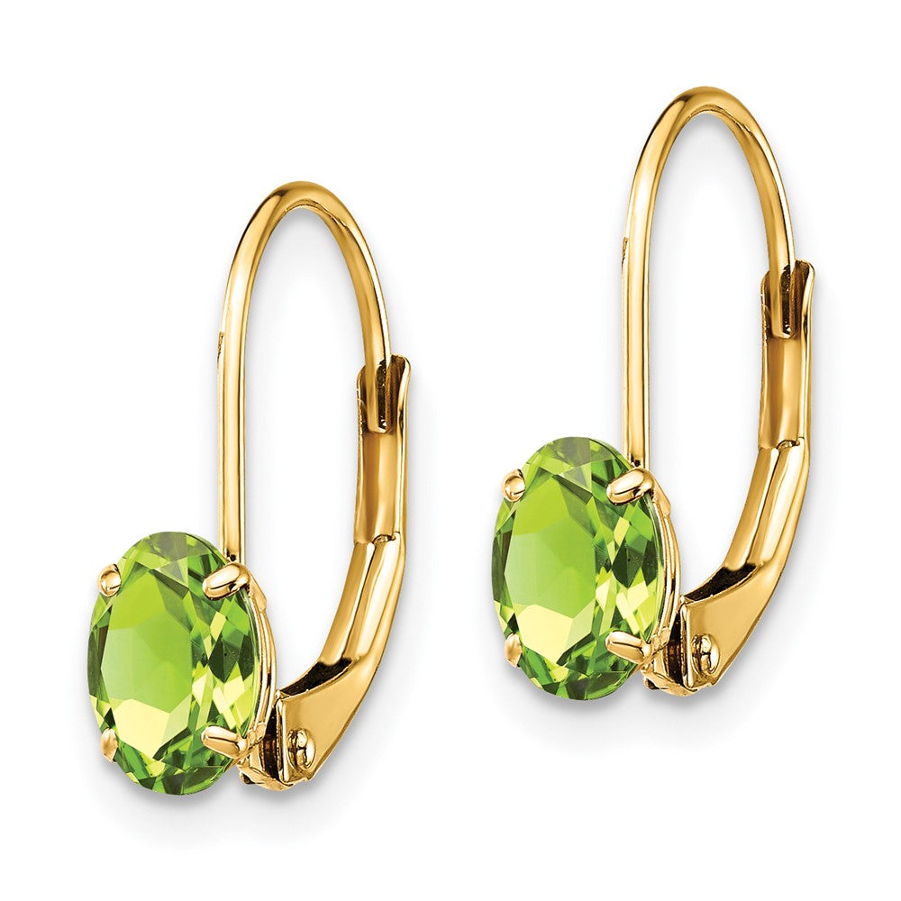 Oval Gemstone Leverback Earrings