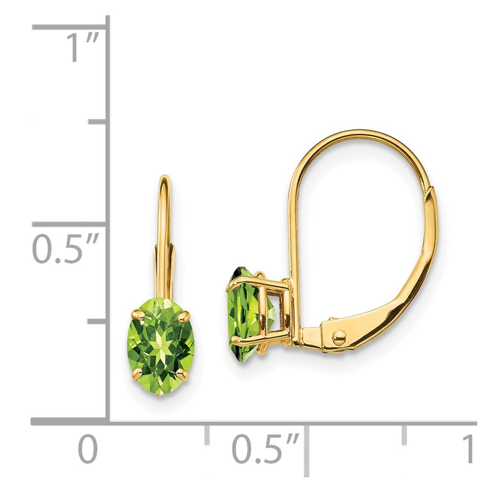 Oval Gemstone Leverback Earrings