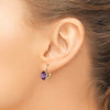 Oval Gemstone Leverback Earrings