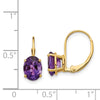 Oval Gemstone Leverback Earrings