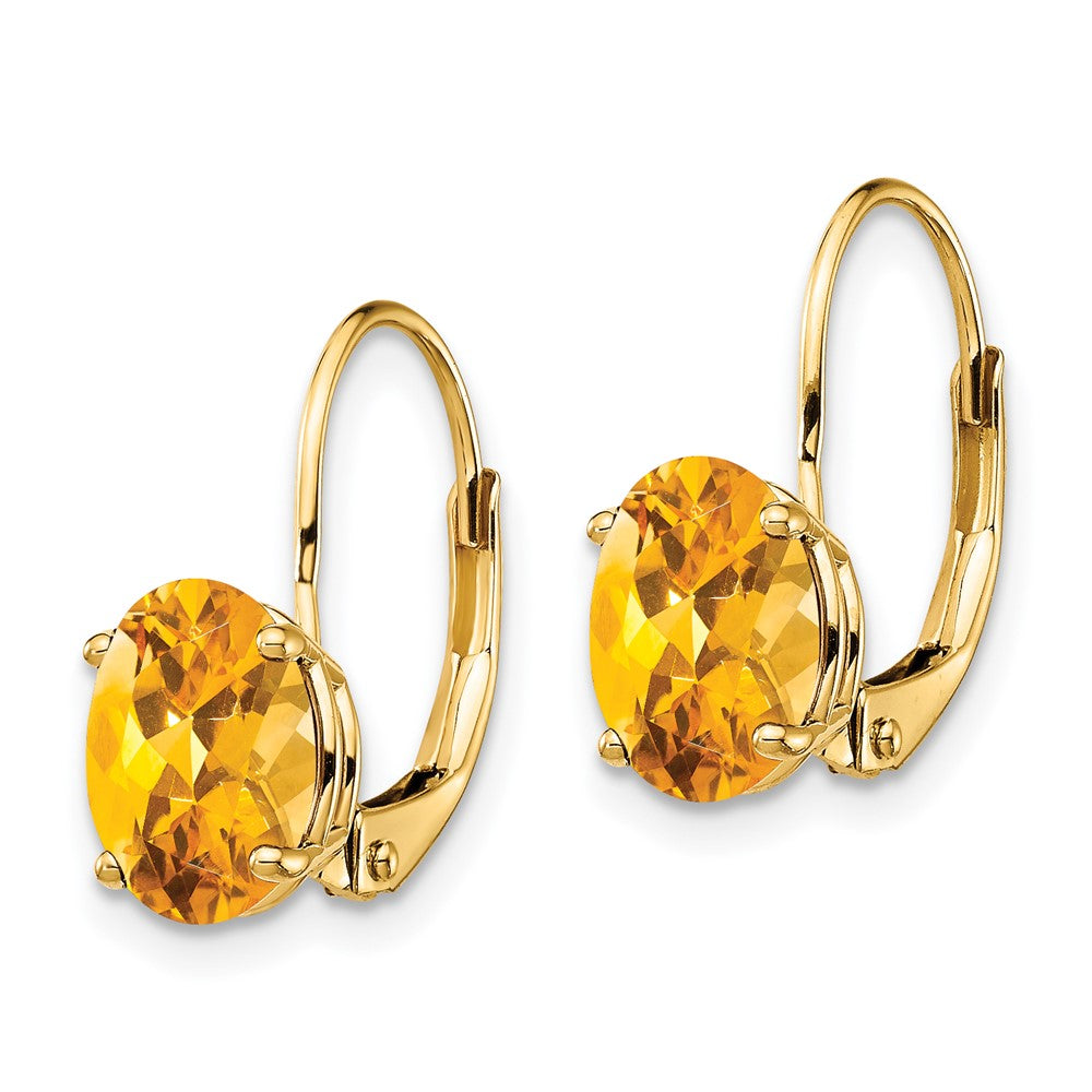 Oval Gemstone Leverback Earrings