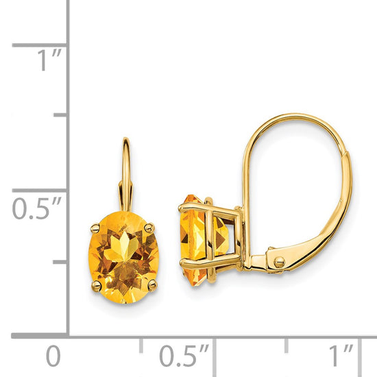 Oval Gemstone Leverback Earrings