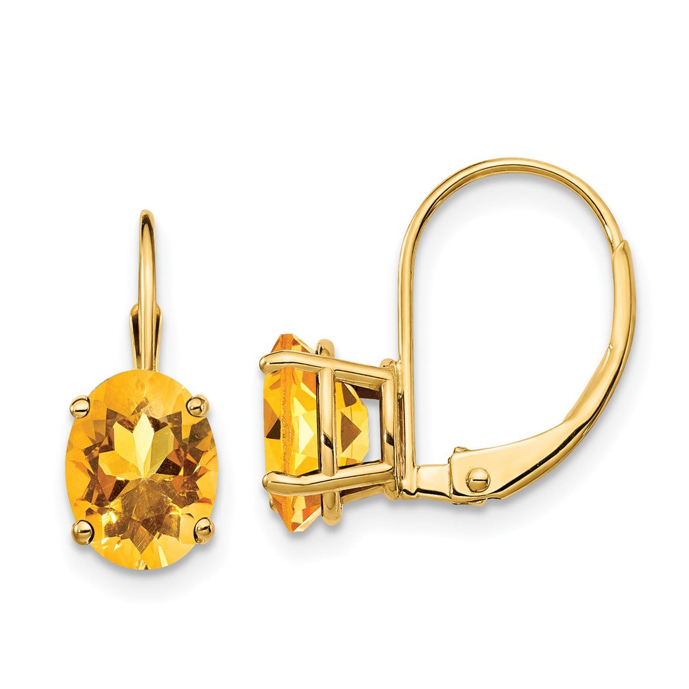 Oval Gemstone Leverback Earrings