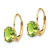 Oval Gemstone Leverback Earrings