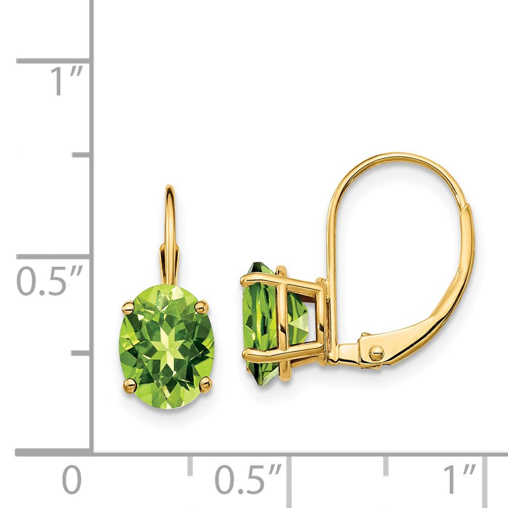 Oval Gemstone Leverback Earrings