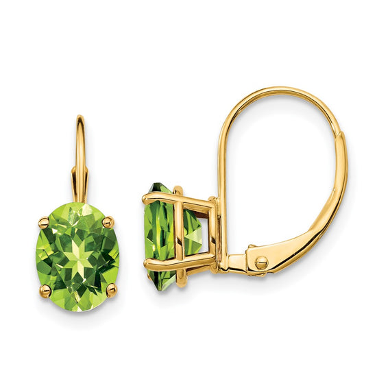 Oval Gemstone Leverback Earrings