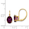 Oval Gemstone Leverback Earrings