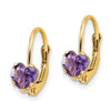 Heart Gemstone Leverback Earrings