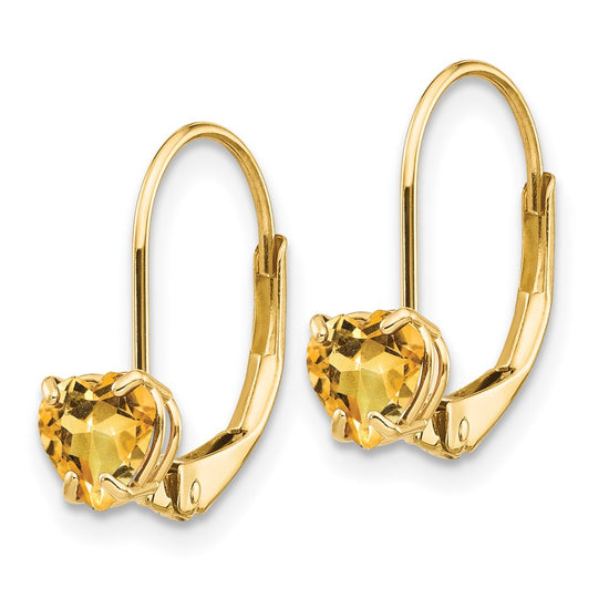 Heart Gemstone Leverback Earrings