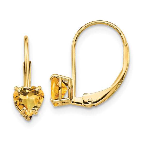 Heart Gemstone Leverback Earrings