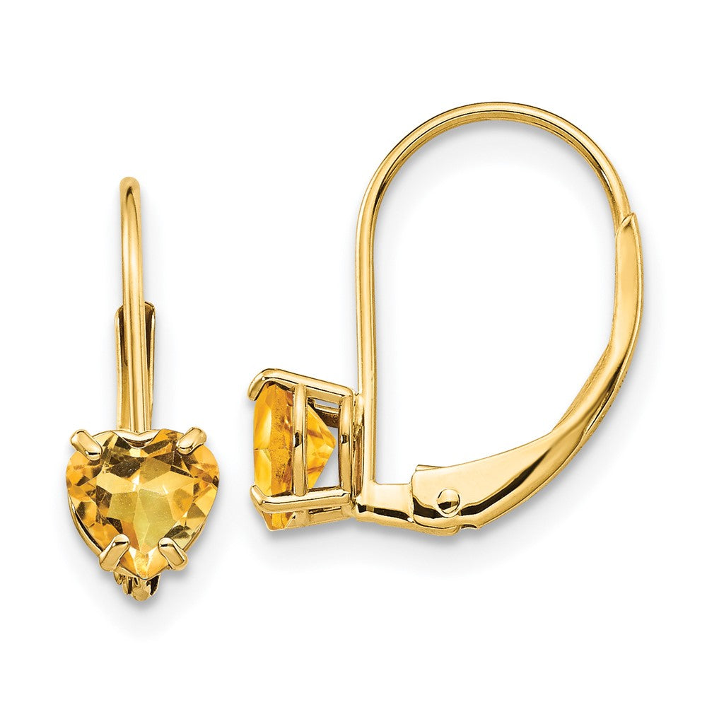 Heart Gemstone Leverback Earrings