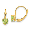 Heart Gemstone Leverback Earrings