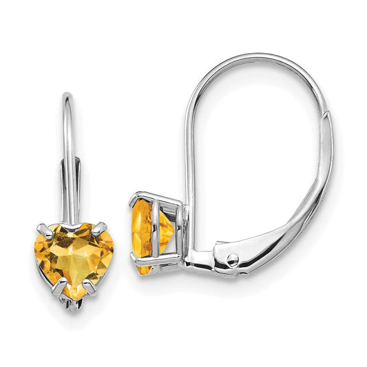 Heart Gemstone Leverback Earrings