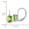 Emerald-Cut Gemstone Leverback Earrings