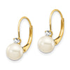 FWC Pearl & Diamond Leverback Earrings