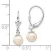 Gold FWC Pearl Dangle Leverback Earrings