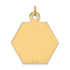 14k 26.5mm Hexagon Red Enameled Medical Jewelry Pendant