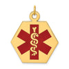 14k 22.5mm Hexagon Red Enameled Medical Jewelry Pendant