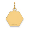 14k 15mm Hexagon Red Enameled Medical Jewelry Pendant