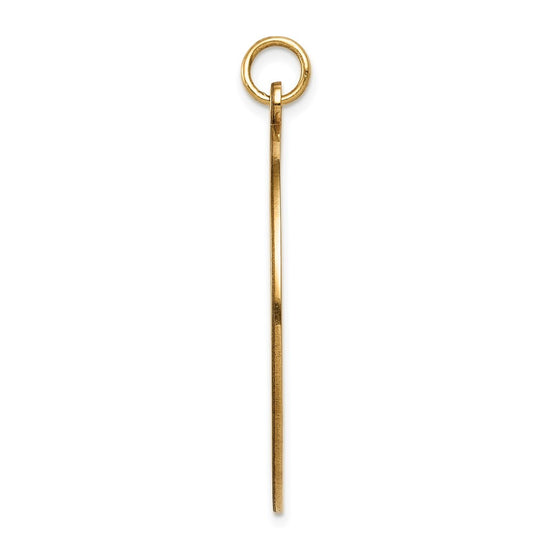 14k 32mm Round Non-enameled Medical Jewelry Pendant
