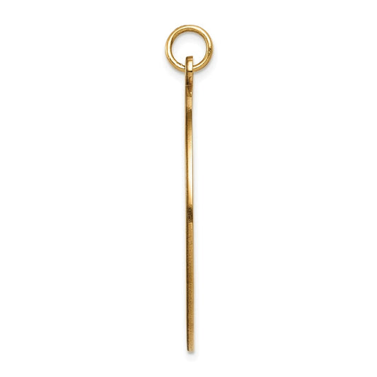 14k 32mm Round Non-enameled Medical Jewelry Pendant