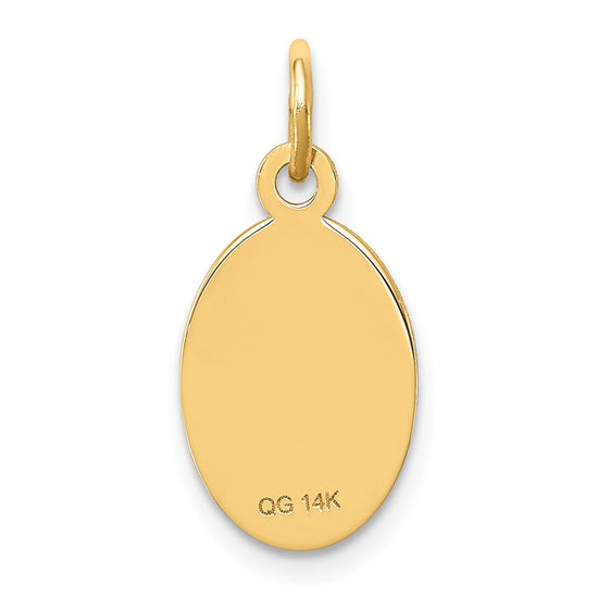 14k 16x9.5mm Oval Non-enameled Medical Jewelry Pendant
