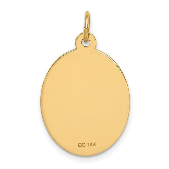 14k 23x16.5mm Oval Non-enameled Medical Jewelry Pendant