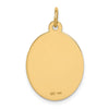 14k 23x16.5mm Oval Non-enameled Medical Jewelry Pendant