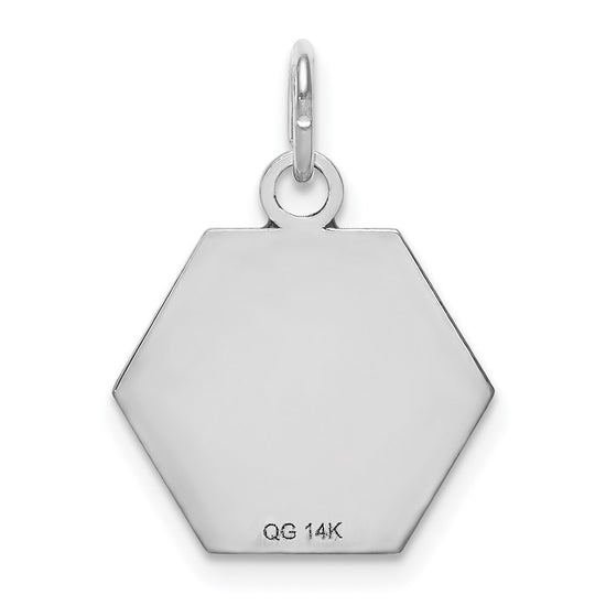 14k White Gold 15mm Hexagon Red Enameled Medical Jewelry Pendant