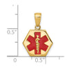 14k 14mm Hexagon Enameled Textured Back Medical Disc Pendant