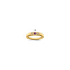 Birthstone and Diamond Mother's Ring Semi-Mount