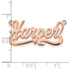 14k Rose Gold Polished Name Plate