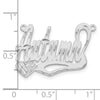 10k White Gold Diamond-cut Heart Name Plate