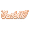14k Rose Gold 3D Polished Name Plate
