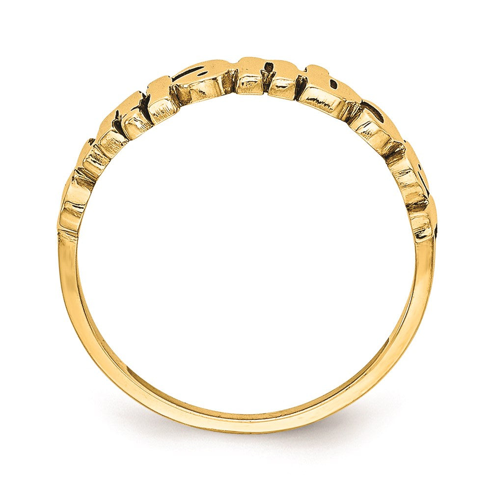 Laser Polished Name Ring