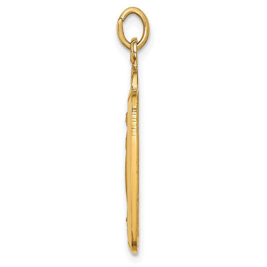 14k Polished and Satin Solid Miraculous Medal Rectangular Pendant