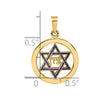 14k Polished Blue Enameled Solid Star of David in Circle Pendant