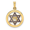 14k Polished Blue Enameled Solid Star of David in Circle Pendant