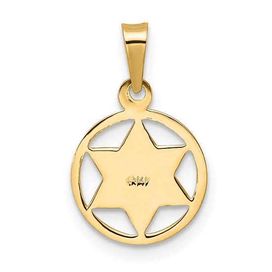 14k Polished Solid Blue Enameled Star of David in Circle Frame Pendant