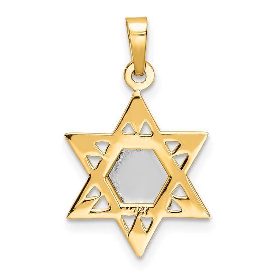 14k Two-tone Polished Solid Star of David and Torah Pendant