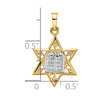 14k Two-tone Polished Solid Star of David and Torah Pendant