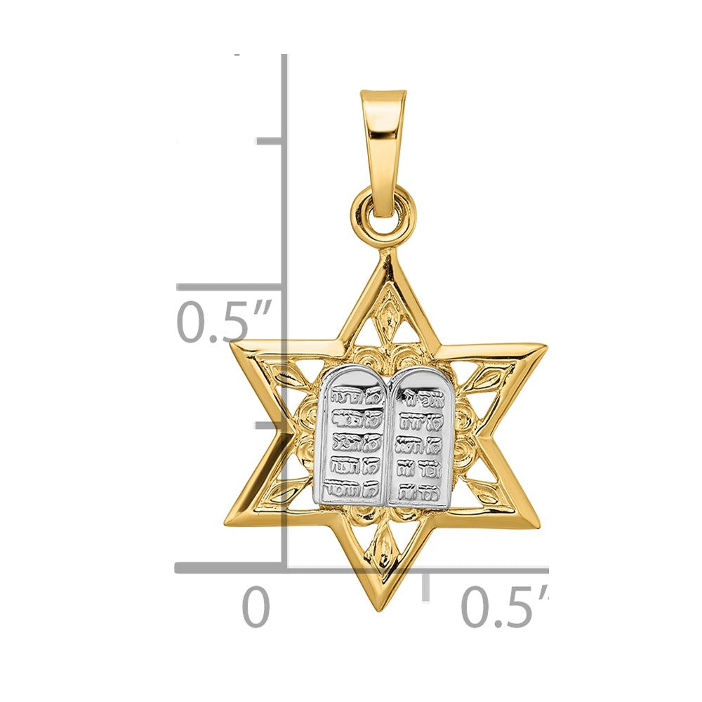 14k Two-tone Polished Solid Star of David and Torah Pendant